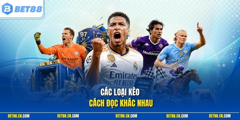 Các loại kèo cách đọc khác nhau