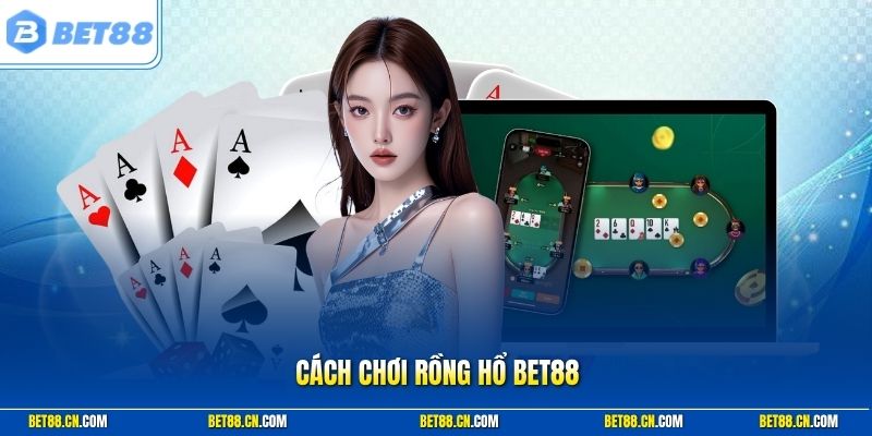 Cách Chơi Rồng Hổ Bet88 Chuẩn Luật Để Tăng Tỷ Lệ Thắng