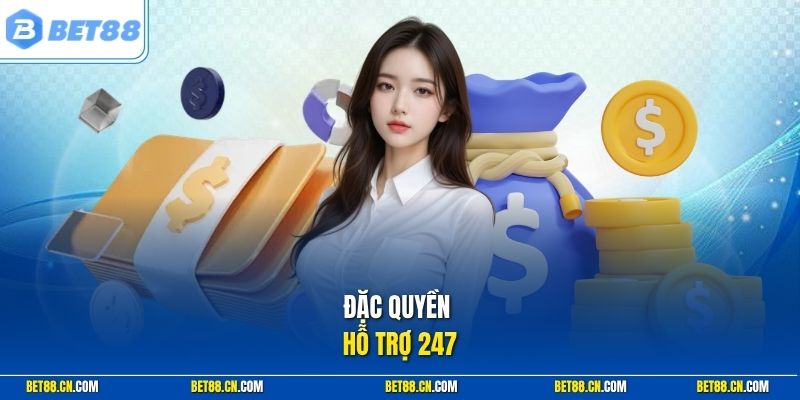 Đặc quyền hỗ trợ 247