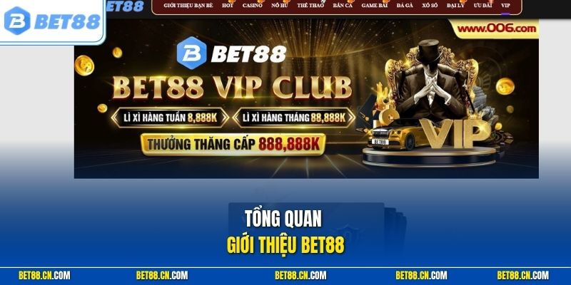 Tổng quan giới thiệu Bet88