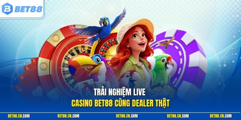 Trải nghiệm Live Casino Bet88 cùng dealer thật